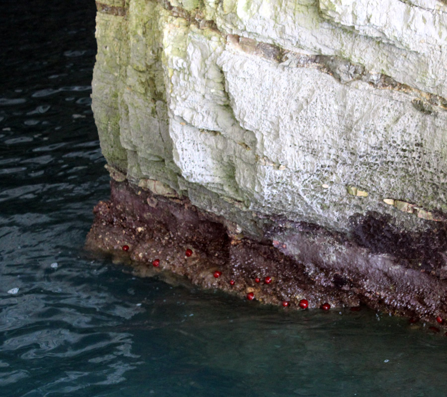 Le grotte marine del Gargano
